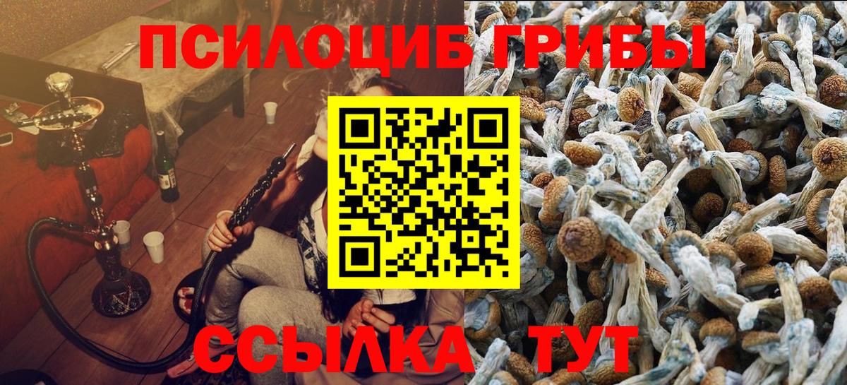 Грозный  Галлюциногенные грибы Cubensis  купить   Вход с VPN 